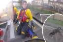 Cowes RNLI rescued a cat stuck under a pontoon.
