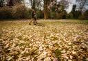 A survey by Which? has revealed the best walks in Britain. Picture: PA