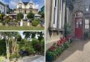 Awarded by Shanklin in Bloom were The Clifton Guest House, Shanklin Theatre and the war memorial.