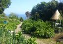 Permaculture Island at Niton
