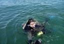 Mark Plimley swimming in the ocean.