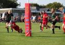 Isle of Wight RFC score against the Locksheath Pumas at Wootton on Saturday.