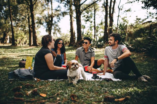 Isle of Wight County Press: A group of people and a dog enjoy a picnic in the woods. Credit: Canva