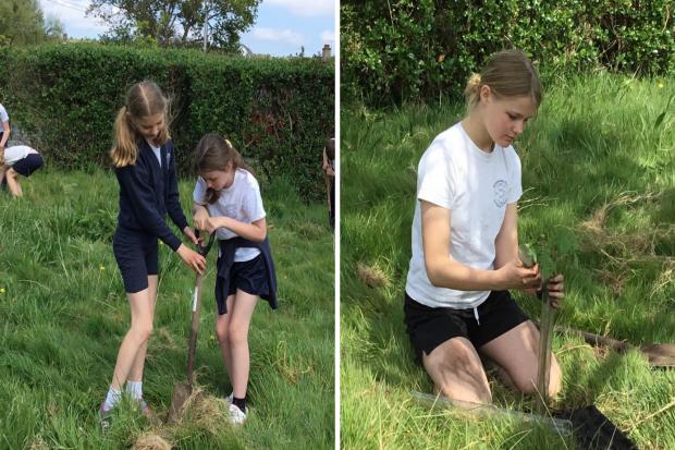 Brighstone Primary School pupils working on their new eco-initiative.