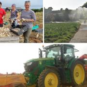 Pictures from Living Larder, the Garlic Farm and John Knox Farms.