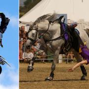 A motorbike stunt and Atkinsons Action Horses at The Chale Show last year