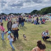 Arreton Barks Dog Show. Picture by the Isle of Wight Dog Festival.