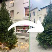 Ryde Christmas tree vandalism: Before and after