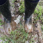 Dedication! Cat's muddy wellies after her early start