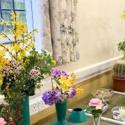 The Brighstone and District Horticultural Society's Spring Show takes place later this month (March)