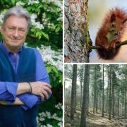 Alan Titchmarsh is advising gardeners to start planting trees that will feed red squirrels