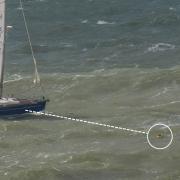 Crew member rescued after falling overboard during Round the Island Race