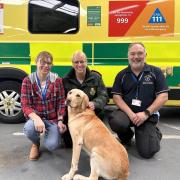 The team was established in April 2023 to help ambulance staff manage stress.