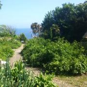 Permaculture Island at Niton