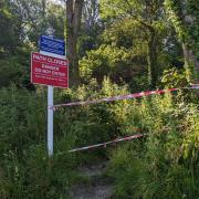 Springhill Woods, East Cowes, has been shut following landslips.