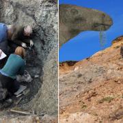 Left: Nick Chase sketching at the excavation site in 2013. Right: What the dinosaur looked like and Jeremy Lockwood.