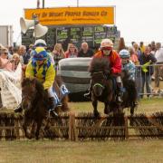The Royal IW County Show is back!