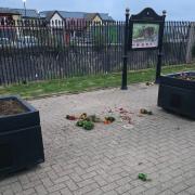 Flower beds on Ryde Esplanade strewn on the ground.