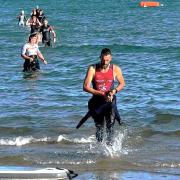 Athletes returing to shore in the gruelling Yaverland Aquathlon.