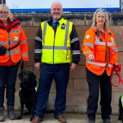 Malli and Ginny are the newest recruits to the WightSAR team