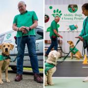 Ability Dogs 4 Young People.