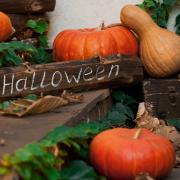 Here's some garden and indoor plants for your Halloween decorations