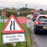 The temporary traffic lights currently in operation on St John's Road, Wroxall, outside the IW Donkey Sanctuary.