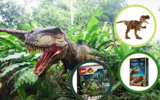 ( Background) A dinosaur in the jungle ( Canva) (Circles) Dinosaur toys and sets from Bargain Max and LEGO