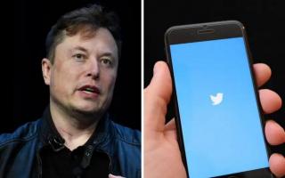 Elon Musk confirms Twitter will charge $8 a month for a blue tick