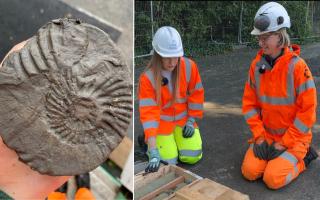 Fossils found at landslip-threatened Leeson Road