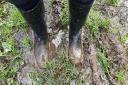 Dedication! Cat's muddy wellies after her early start