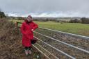 Councillor Celia Hickson at the proposed site of 59 new homes on the second field of the former Lockwood Farm, just off Spen View Lane.