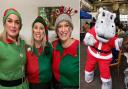 Ryde's Winter Wonderland Christmas Market to return in early December