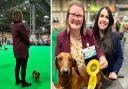 Todd the Dachshund, with co-owners Louise Rippon and Charlotte Ratsey-Woodroffe.