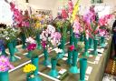 Some of the array of flowers on display at the Brighstone and District Horticultural Society Summer Show on Saturday.