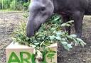 Island attraction on a mission to educate visitors about natural world crisis