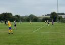 Alresford Town FC v Newport FC