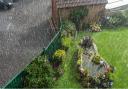 rain falling onto a garden