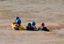 Rescue teams in the sea with the distressed pilot whale, earlier today.