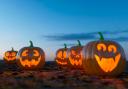 Pumpkins can bring unwanted guests into your house, including snails, slugs and beetles