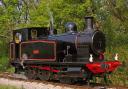 Ajax pictured on the Isle of Wight Steam Railway