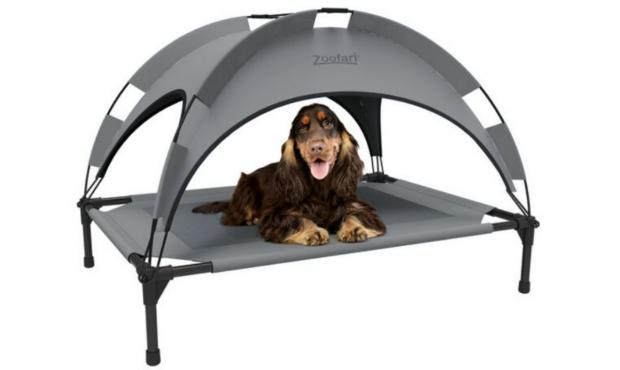 Isle of Wight County Press: Zoofari Dog Bed with Sunshade (Lidl)