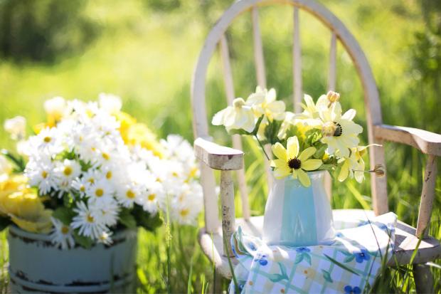 Isle of Wight County Press: A white chair surrounded by flowers. Credit: Canva