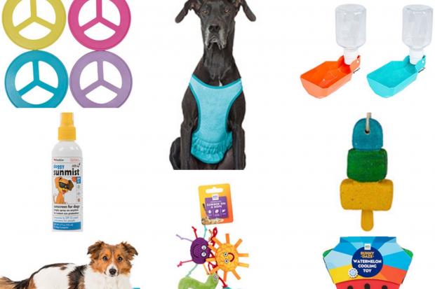 Have fun and keep pets cool with the new Pets at Home summer range. Pictures: Pets at Home