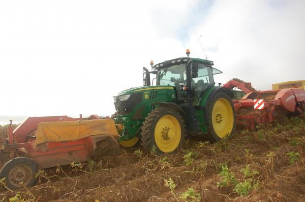 Isle of Wight County Press: John Knox Farms harvesting potatoes this week.