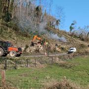 The felling underway on the main road between Shanklin and Ventnor.