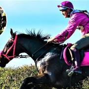A big crowd is expected for the annual Isle of Wight Grand National and Ashey Scurry.