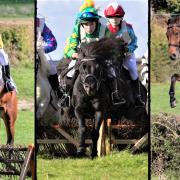 The Isle of Wight Grand National and Ashey Scurry switch from spring to autumn is proving to be a success for the event's organisers.  
PHOTOS AND VIDEO: PAUL BLACKLEY