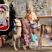 Huskies, the snow queen and Santa all made an appearance.
