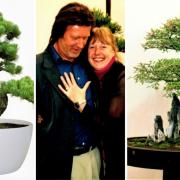 Richard and Charlotte Walby with some bonsai trees.